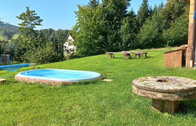 Haus mit 4 Schlafzimmern in Dolní Olešnice mit privater pool und garten - Foto 17