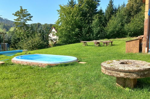 Foto 17 - Casa con 4 camere da letto a Dolní Olešnice con piscina privata e giardino