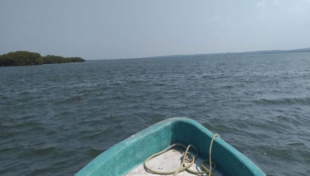 Lagune de Mandinga, Nature et Gastronomie - Photo 2