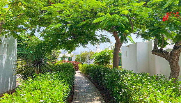 Bungalows Cordial Sandy Golf - Foto 5