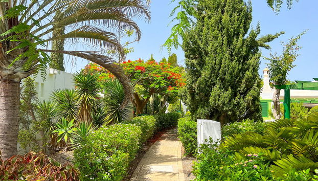 Bungalows Cordial Sandy Golf - Foto 4