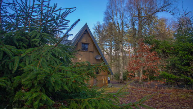Haus mit 3 Schlafzimmern in Beauly mit garten - Foto 4