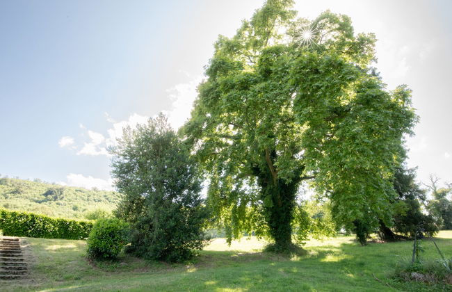 Casa de 5 quartos em La Tagnière com piscina e jardim - Foto 35