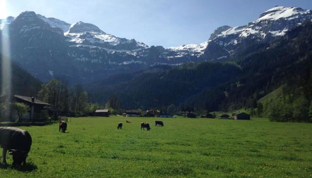 Apartment mit 3 Schlafzimmern in Lenk - Foto 3