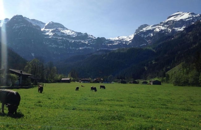 Apartamento de 3 quartos em Lenk - Foto 3