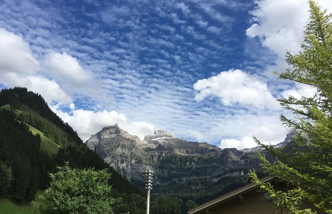 Apartamento de 3 quartos em Lenk - Foto 4