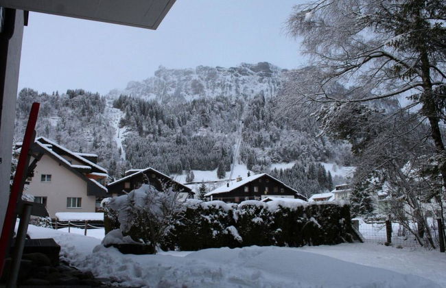 Apartamento de 1 quarto em Engelberg - Foto 15