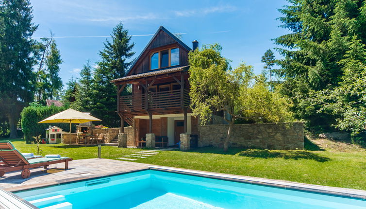 Foto 1 - Casa de 2 quartos em Blažejov com piscina privada e jardim