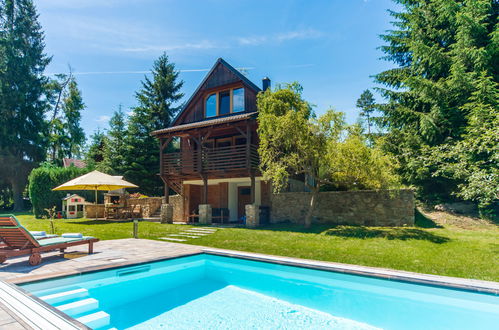 Foto 1 - Casa de 2 quartos em Blažejov com piscina privada e jardim