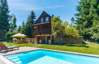 Foto 1 - Casa de 2 quartos em Blažejov com piscina privada e jardim