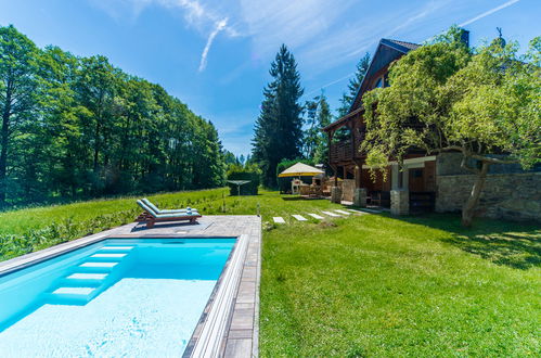 Photo 39 - 2 bedroom House in Blažejov with private pool and garden