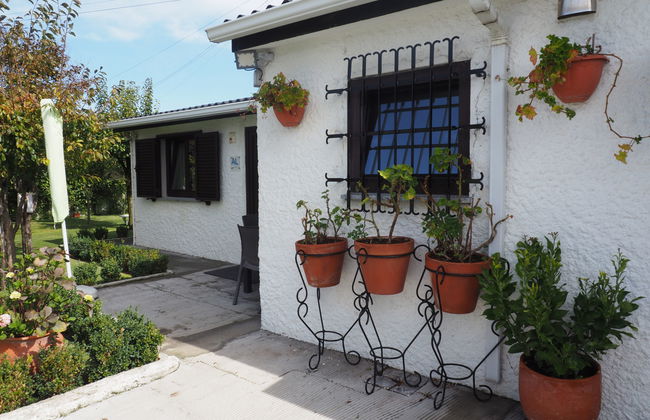 Casa de 3 quartos em Esposende com jardim e terraço - Foto 40
