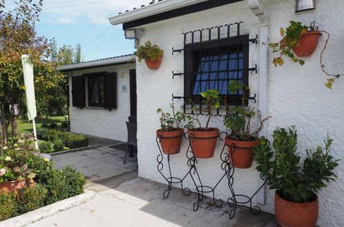 Photo 40 - Maison de 2 chambres à Esposende avec jardin et terrasse