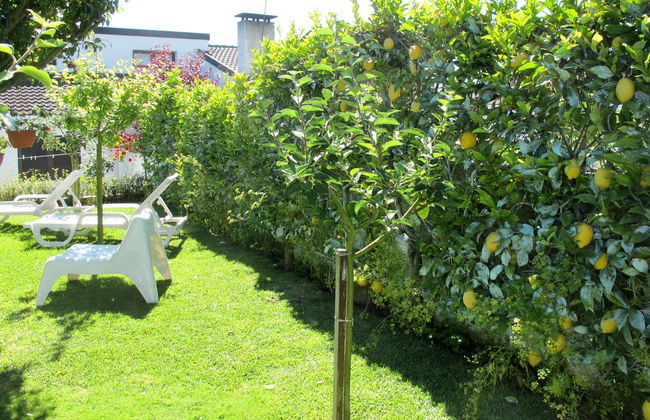 Casa de 3 quartos em Esposende com jardim e terraço - Foto 23