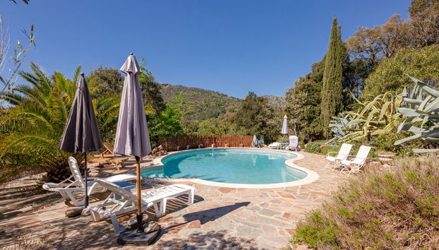 Maison de 3 chambres à La Garde-Freinet avec piscine privée et jardin - Photo 3