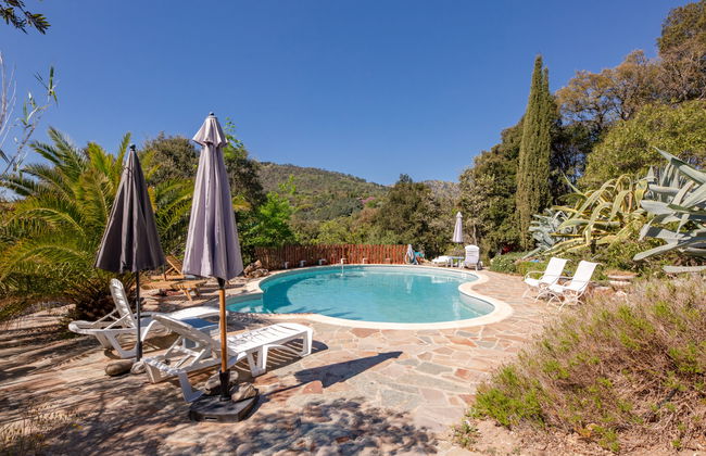 Maison de 3 chambres à La Garde-Freinet avec piscine privée et jardin - Photo 3