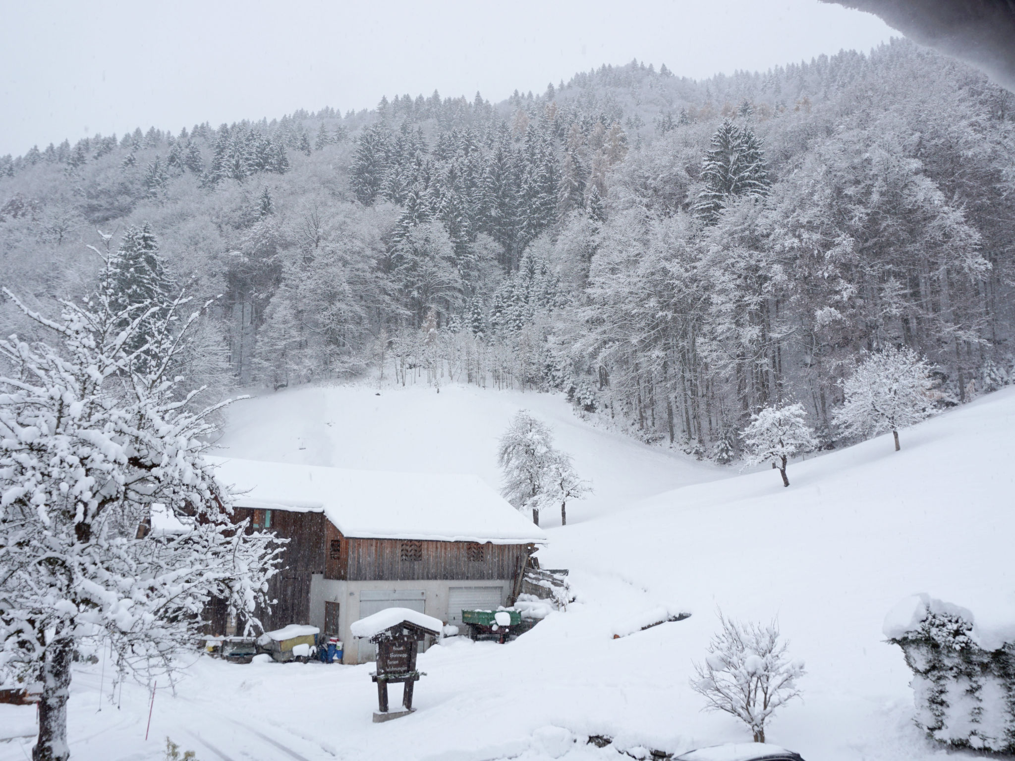 Photo 21 - Appartement de 2 chambres à Vandans avec jardin et vues sur la montagne