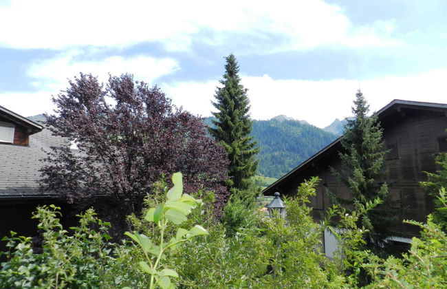 Apartment mit 1 Schlafzimmer in Zweisimmen - Foto 11