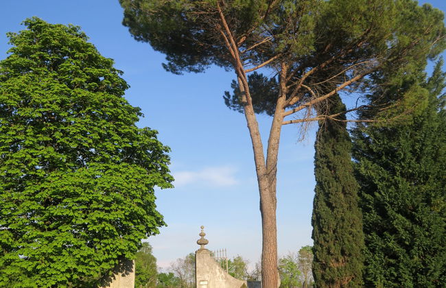 Apartamento de 1 quarto em Cervignano del Friuli com jardim - Foto 27