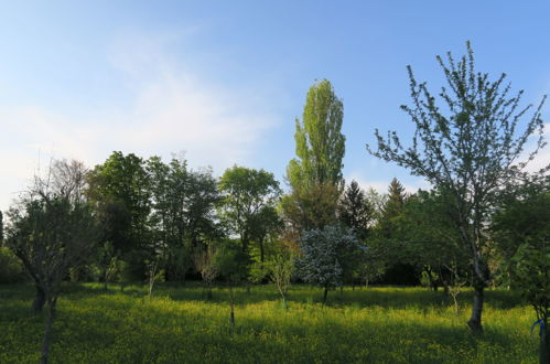 Foto 26 - Appartamento con 1 camera da letto a Cervignano del Friuli con giardino