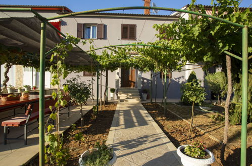Photo 24 - Appartement de 2 chambres à Pićan avec piscine et terrasse