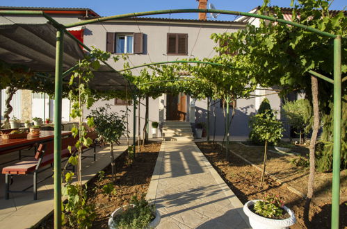 Photo 24 - Appartement de 2 chambres à Pićan avec piscine et jardin