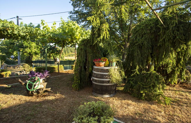 Apartamento de 3 quartos em Pićan com piscina e jardim - Foto 31