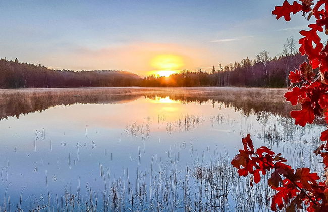 Maison de 4 chambres à Pori - Photo 31