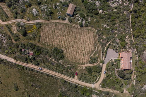 Photo 25 - Maison de 2 chambres à Arzachena avec jardin et vues à la mer