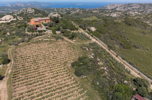 Photo 24 - Maison de 2 chambres à Arzachena avec jardin et vues à la mer