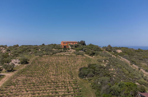 Photo 2 - Maison de 2 chambres à Arzachena avec jardin et vues à la mer