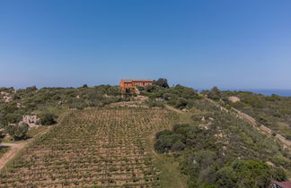 Photo 2 - Maison de 2 chambres à Arzachena avec jardin et vues à la mer