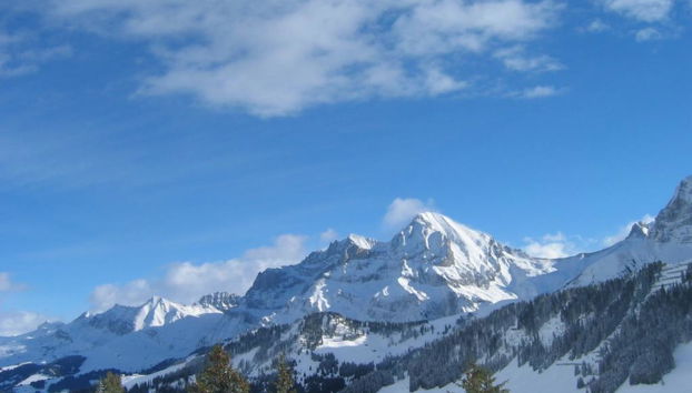 Apartment mit 2 Schlafzimmern in Adelboden - Foto 4