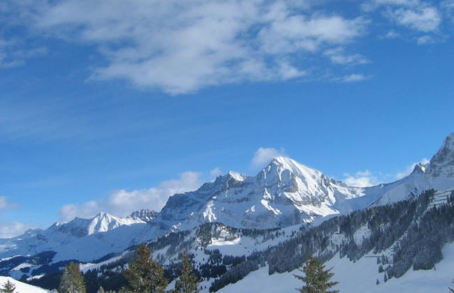 Apartamento de 2 quartos em Adelboden - Foto 4