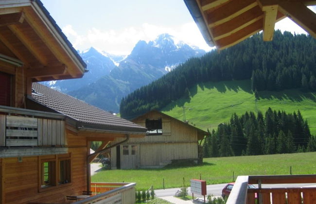Apartamento de 2 quartos em Adelboden - Foto 36