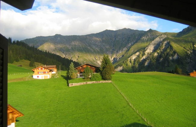 Apartamento de 2 quartos em Adelboden - Foto 5