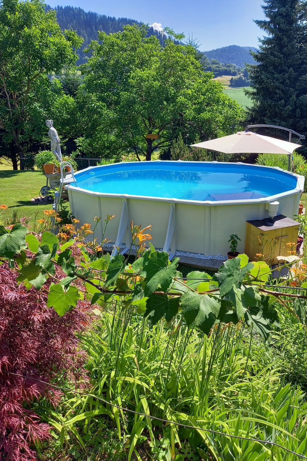 Photo 39 - Appartement de 3 chambres à Magdalensberg avec piscine et vues sur la montagne