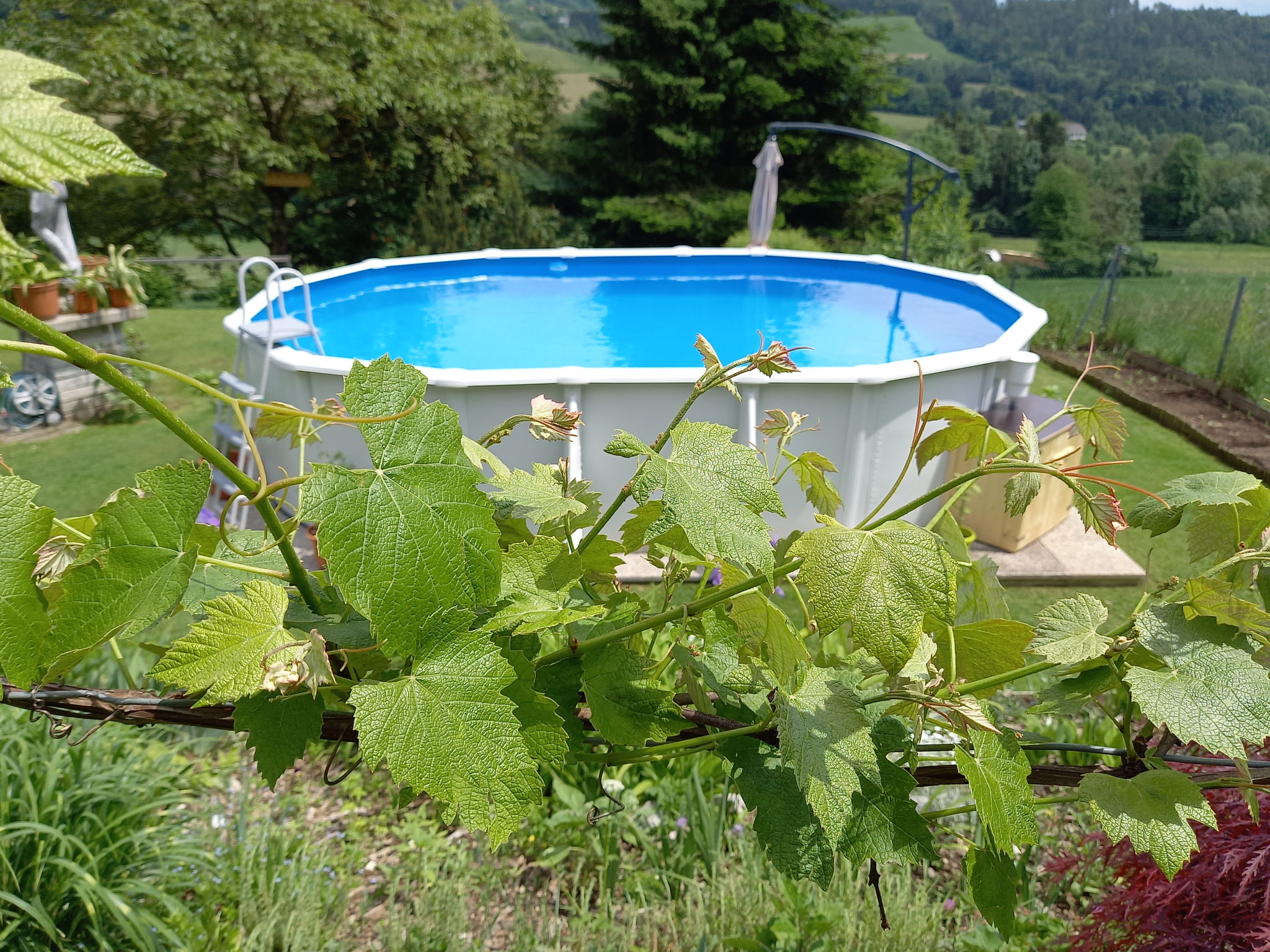 Photo 21 - Appartement de 3 chambres à Magdalensberg avec piscine et vues sur la montagne