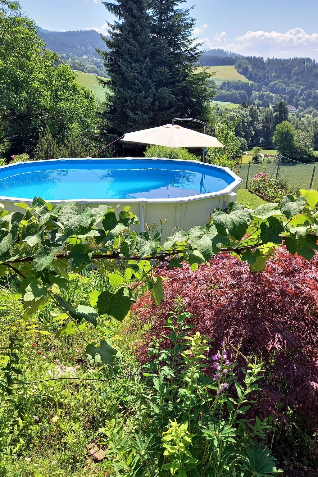 Foto 40 - Appartamento con 3 camere da letto a Magdalensberg con piscina e vista sulle montagne