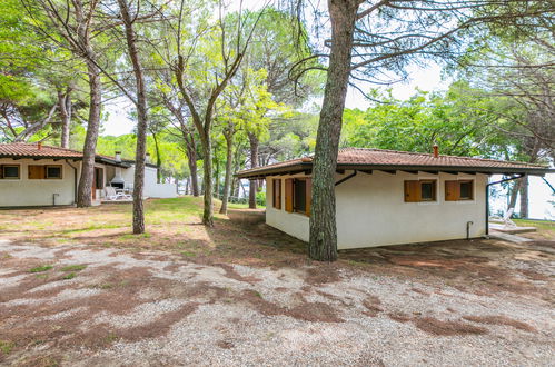 Photo 20 - Maison de 2 chambres à Aquilée avec piscine et jardin