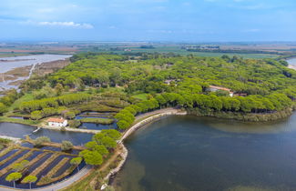 Photo 2 - 2 bedroom House in Aquileia with swimming pool and garden