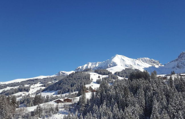Apartamento de 1 quarto em Adelboden - Foto 8