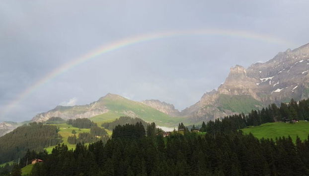 Apartamento de 1 quarto em Adelboden - Foto 5