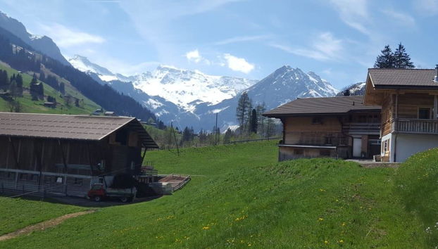 Apartamento de 1 quarto em Adelboden - Foto 4