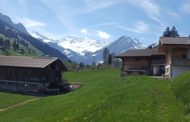 Apartamento de 1 quarto em Adelboden - Foto 4