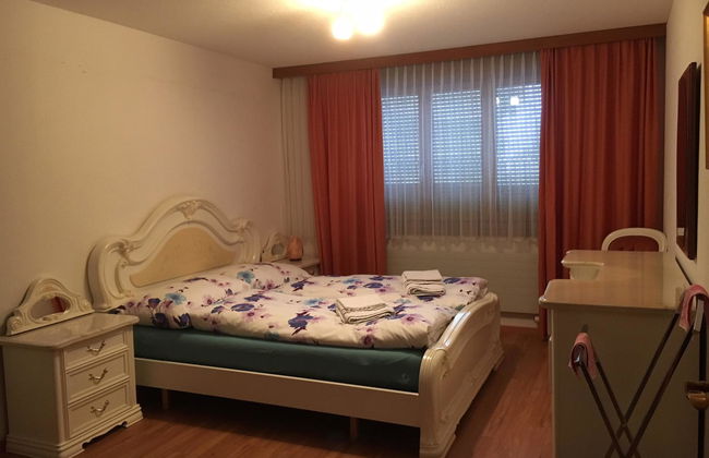Apartamento de 1 quarto em Engelberg - Foto 4