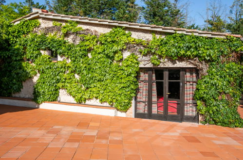 Foto 45 - Casa de 2 habitaciones en Colle di Val d'Elsa con piscina y jardín