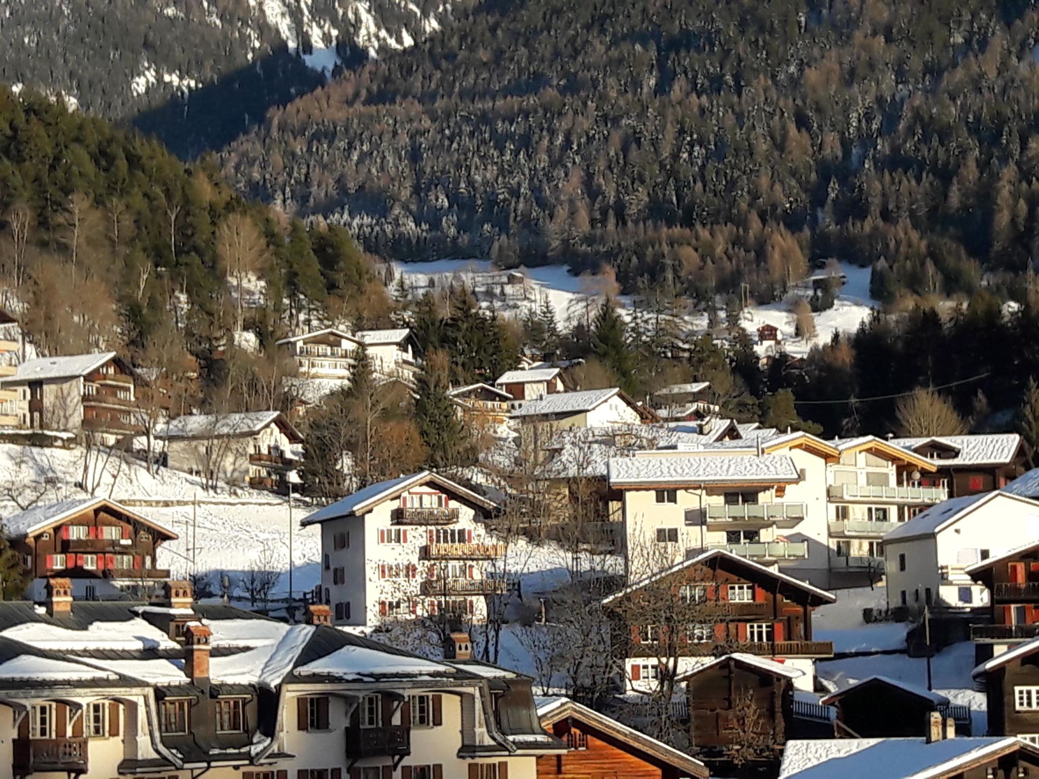 Photo 8 - Appartement de 2 chambres à Fiesch