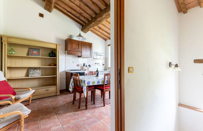Casa de 3 quartos em Montieri com piscina e jardim - Foto 18