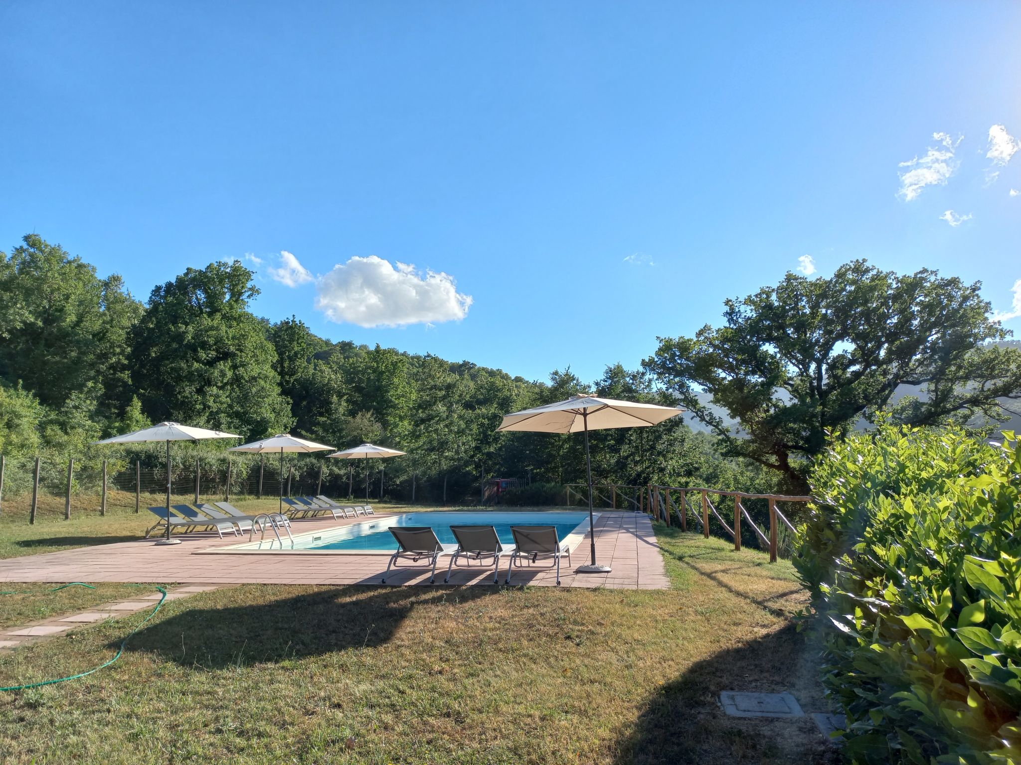 Photo 31 - Maison de 2 chambres à Montieri avec piscine et jardin